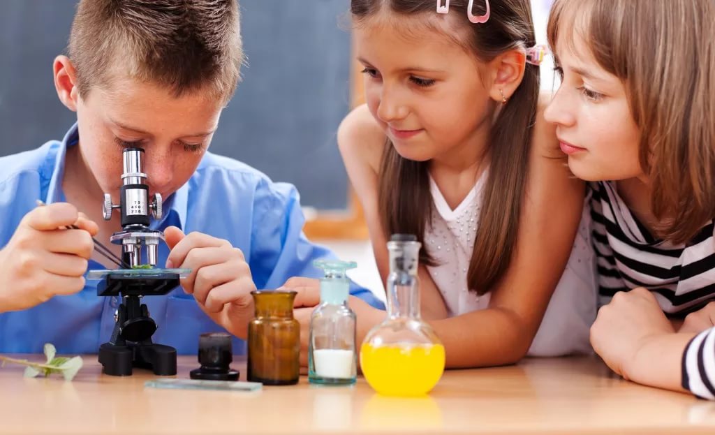 дети увлеченно смотрят в микроскоп