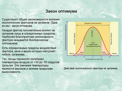 Презентация по экологии, экологические факторы